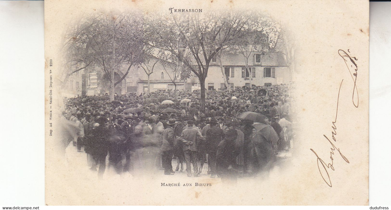 TERRASSON   MARCHE AUX BOEUFS - Terrasson-la-Villedieu