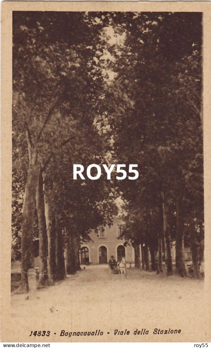 Emilia Romagna-ravenna-bagnacavallo Viale Stazione Veduta Viale Stazione Bagnocavallo E Calesse Anni 30 (f.piccilo) - Other & Unclassified