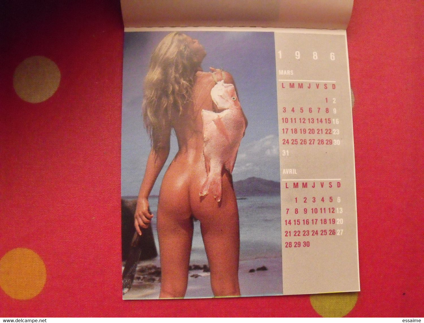 Petit Calendrier 1986. Photos De Pin-up - Petit Format : 1981-90