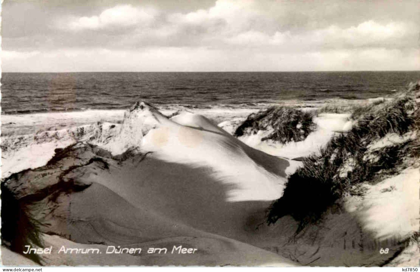 Amrum - Schleswig