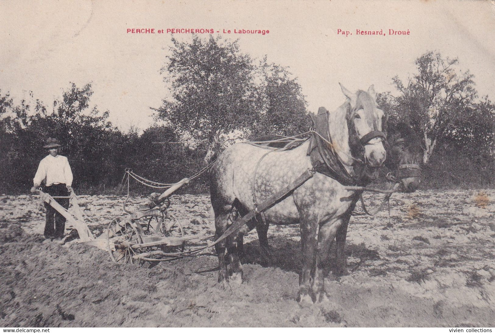 Perche Et Percherons Labourage édit. Besnard à Droué (41 Loir Et Cher) - Droue