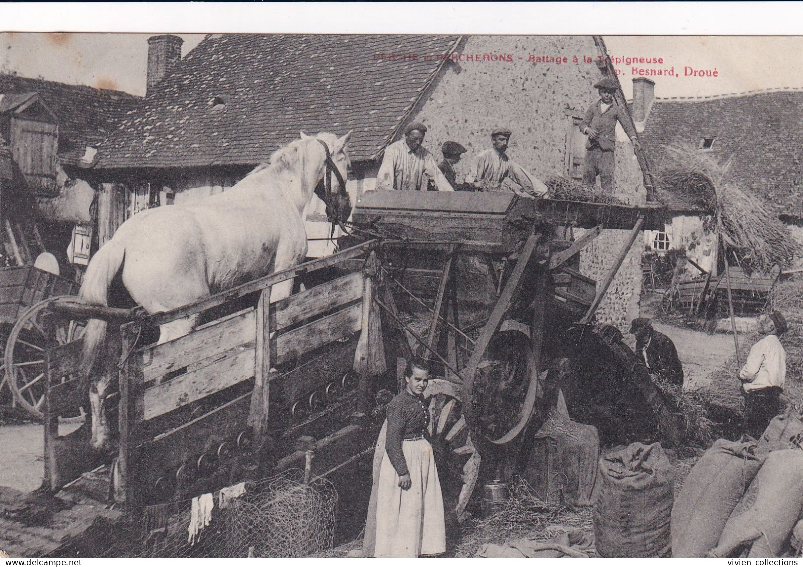 Perche Et Percherons Battage A La Trépigneuse édit. Besnard à Droué (41 Loir Et Cher) Top Carte - Droue