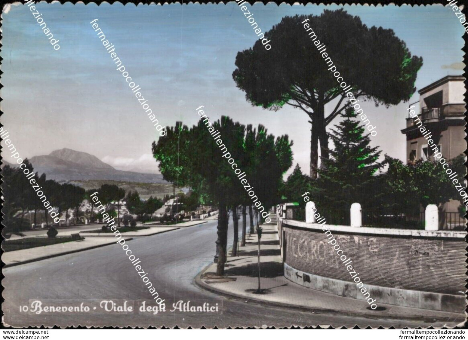 Bs753 Cartolina Benevento Citta' Viale Degli Atlantici Campania - Benevento