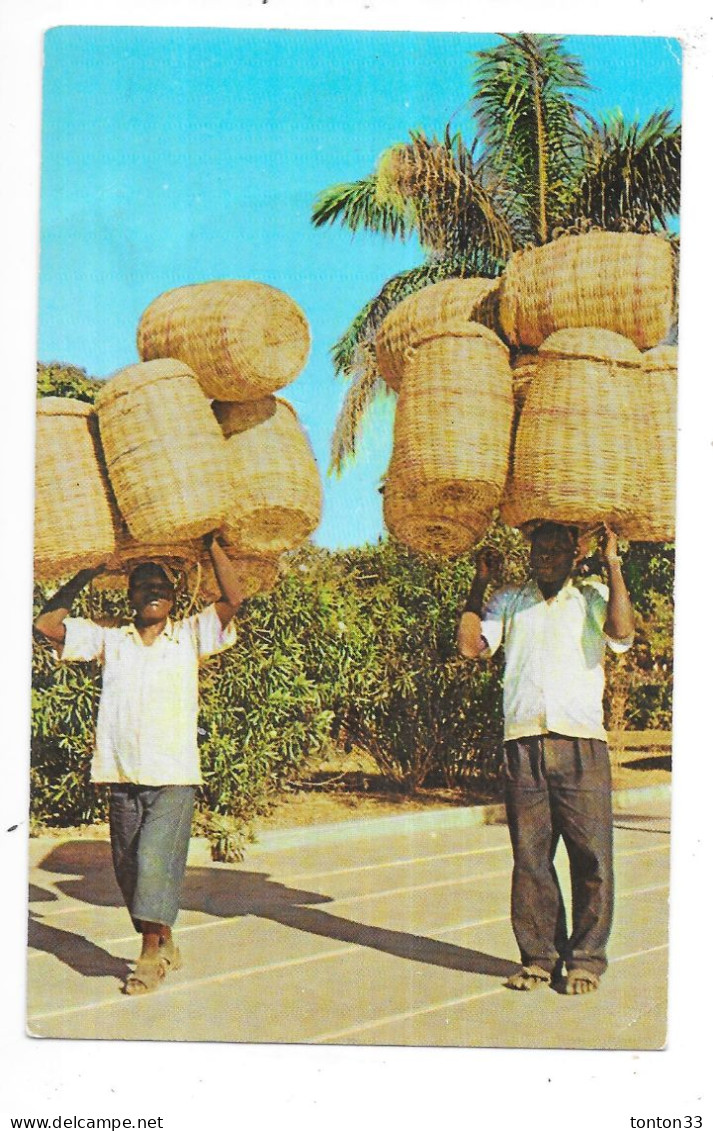 KENSKOFF - HAITI - Baskets Seller - TOUL 7 - - Haiti