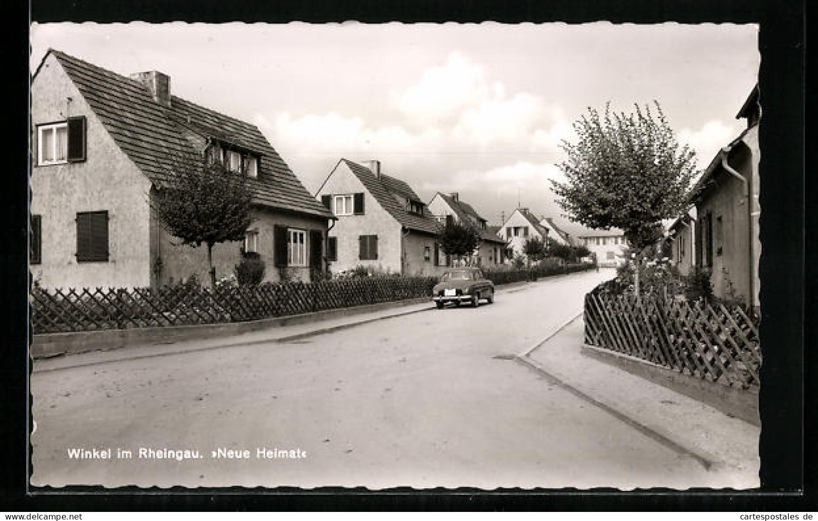 AK Winkel Im Rheingau, Strassenpartie Der Neuen Heimat  - Rheingau