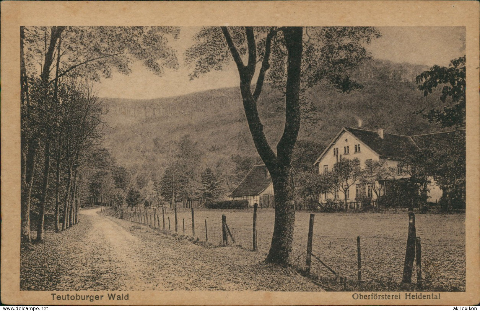 Hiddesen-Detmold Umland Teutoburger Wald Oberförsterei Heidental 1920 - Detmold