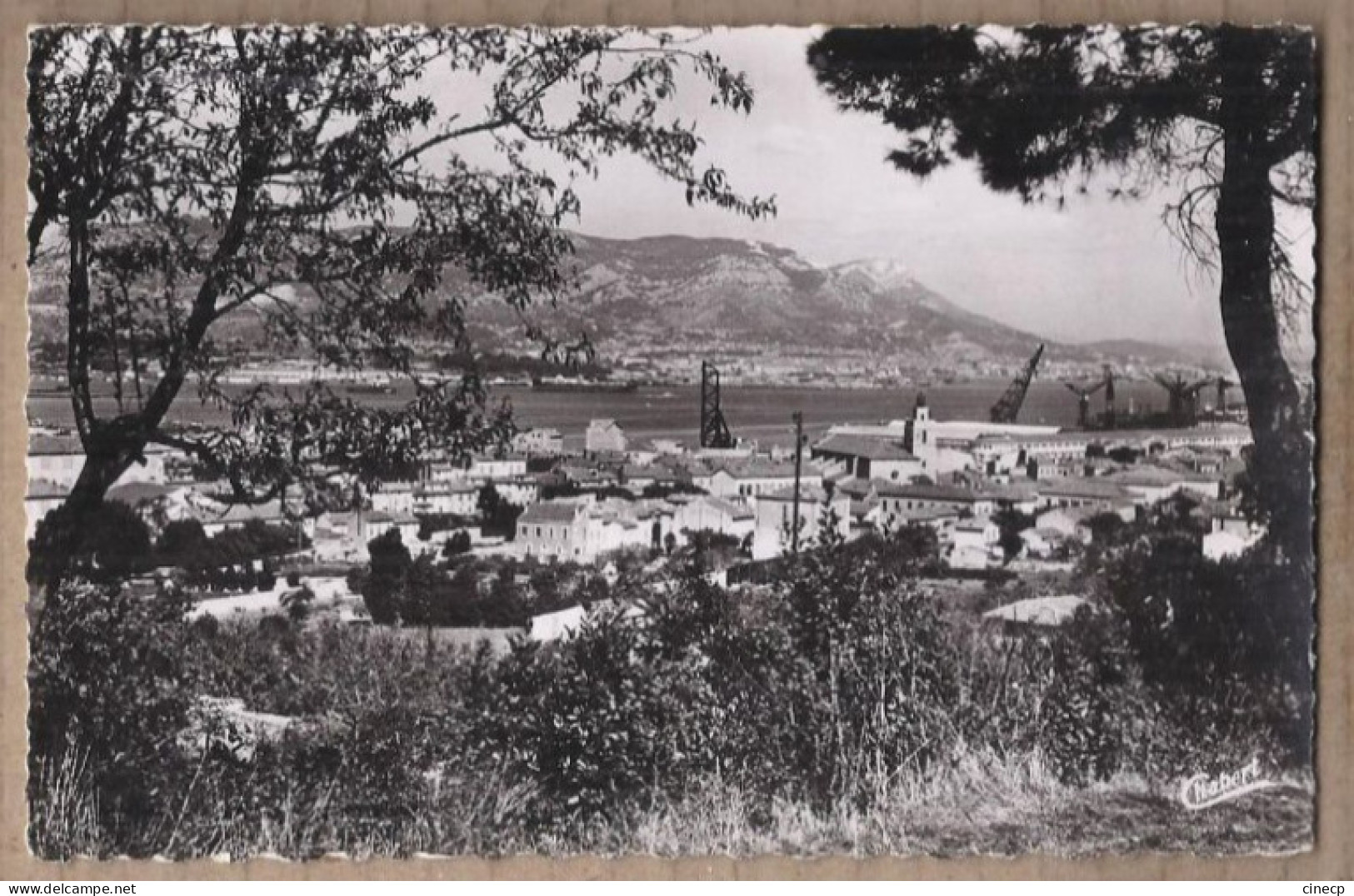 CPSM 83 - LA SEYNE SUR MER - Vue Générale - TB PLAN D'ensemble Du Village - Détails Maisons Grues Du Port - La Seyne-sur-Mer