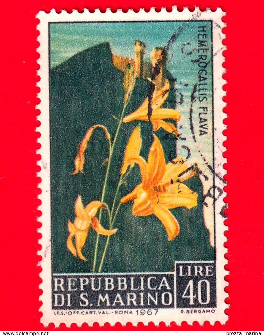 SAN MARINO - Usato - 1967 - Fiori - 3ª Emissione - Hemerocallis Flava - 40 - Used Stamps