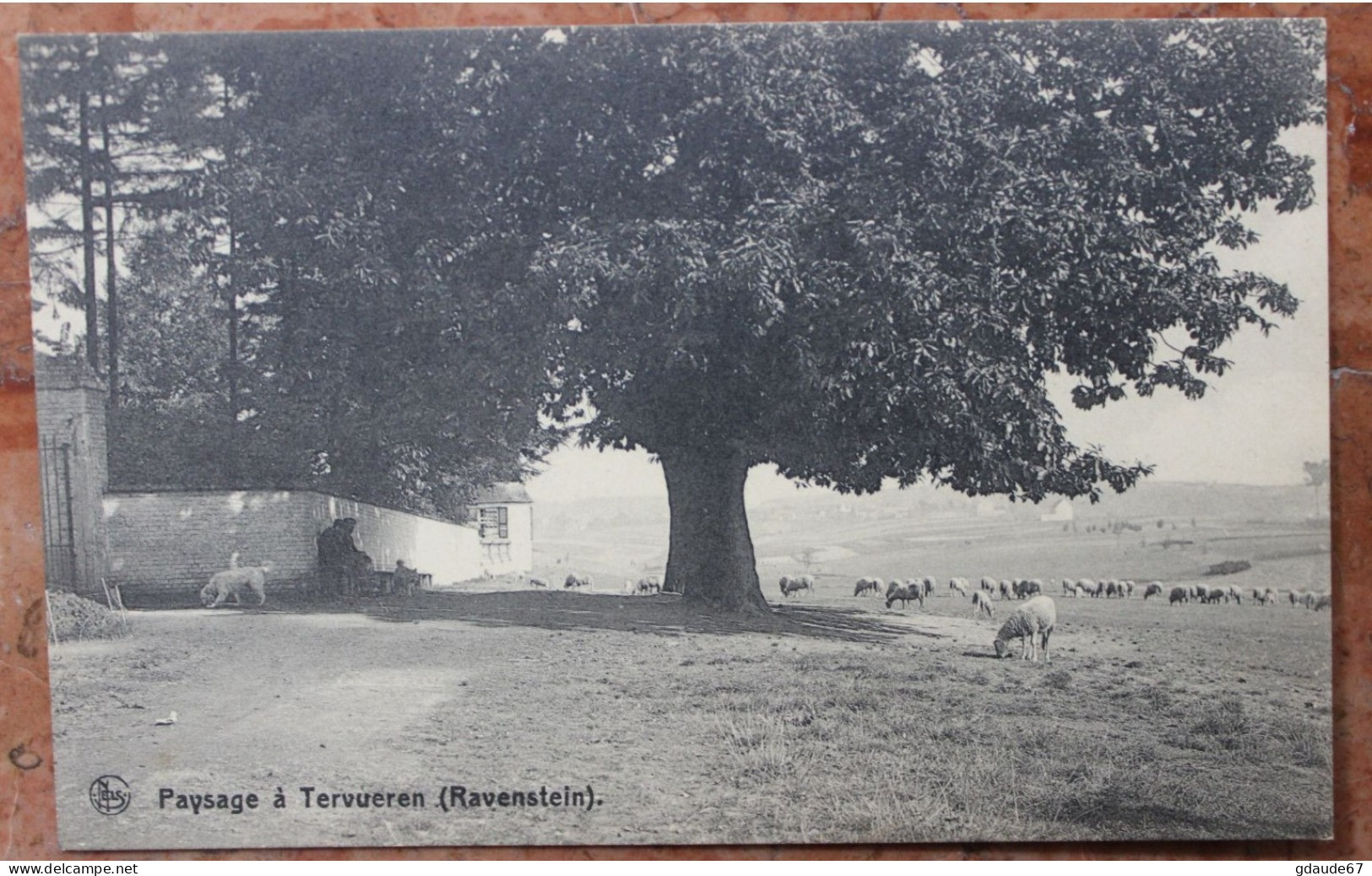 PAYSAGE A TERVUREN / TERVUEREN - RAVENSTEIN - Tervuren