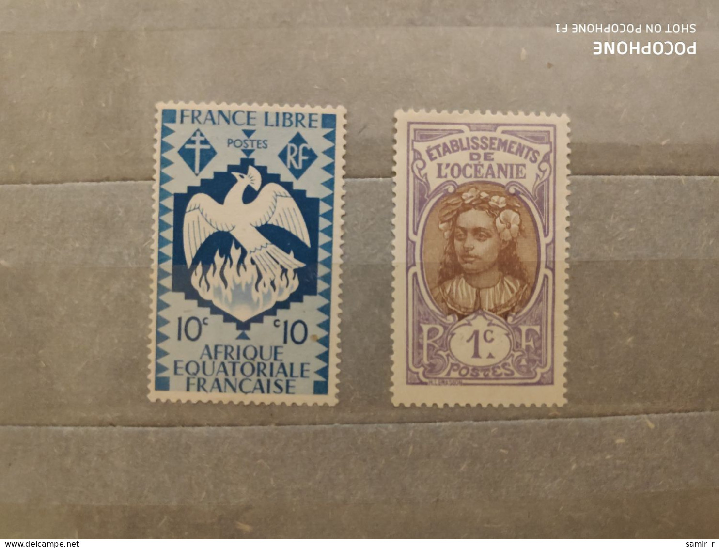 France Colonies	Birds (F95) - Other & Unclassified