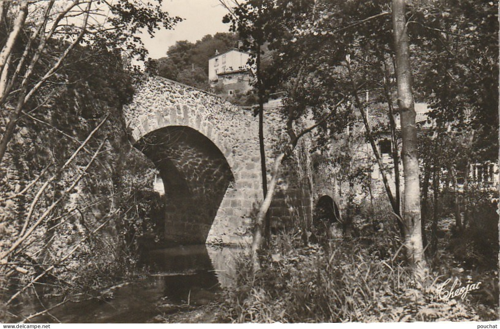 XXX -(87) ROCHECHOUART - PONT GOTHIQUE SUR LA GRAINE - 2 SCANS - Rochechouart