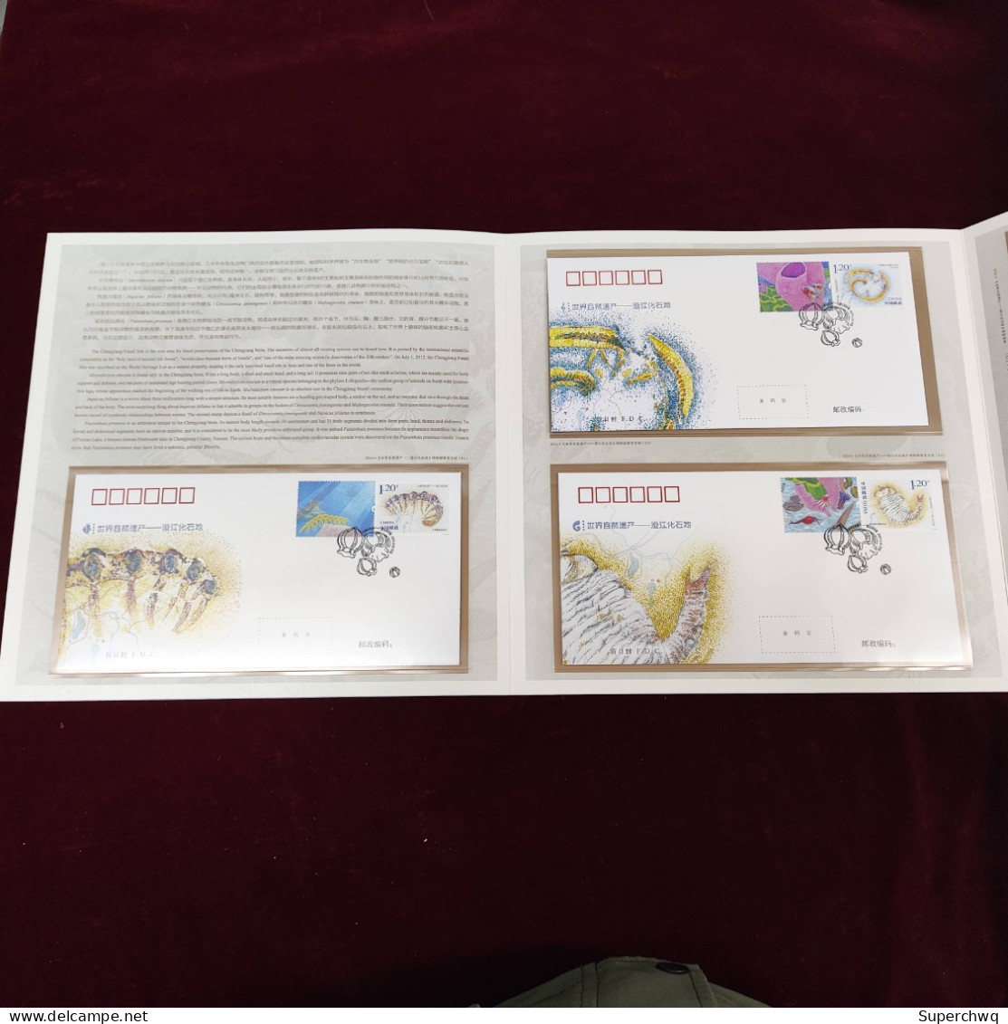 China Stamp 2024-4 The "World Natural Heritage - Chengjiang Fossil Land" Edition Coupon Includes Tickets: A Set Of Three - Unused Stamps