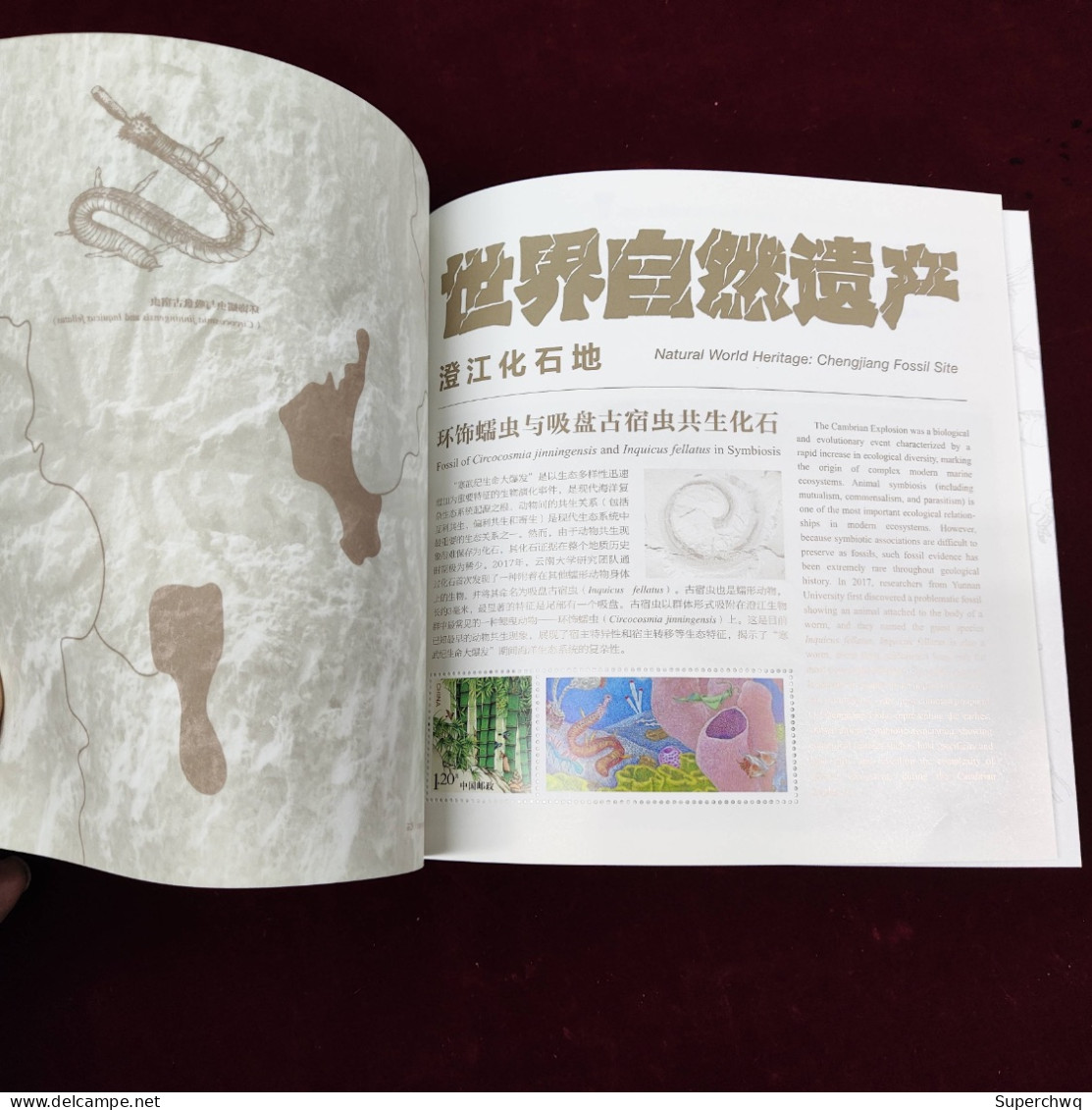 China Stamp GPB-31 2024-4 "World Natural Heritage - Chengjiang Fossil Land" Personalized Ticket Book - Nuovi