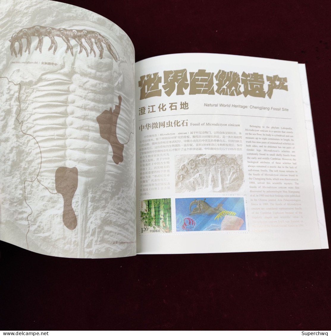 China stamp GPB-31 2024-4 "World Natural Heritage - Chengjiang Fossil Land" Personalized Ticket Book