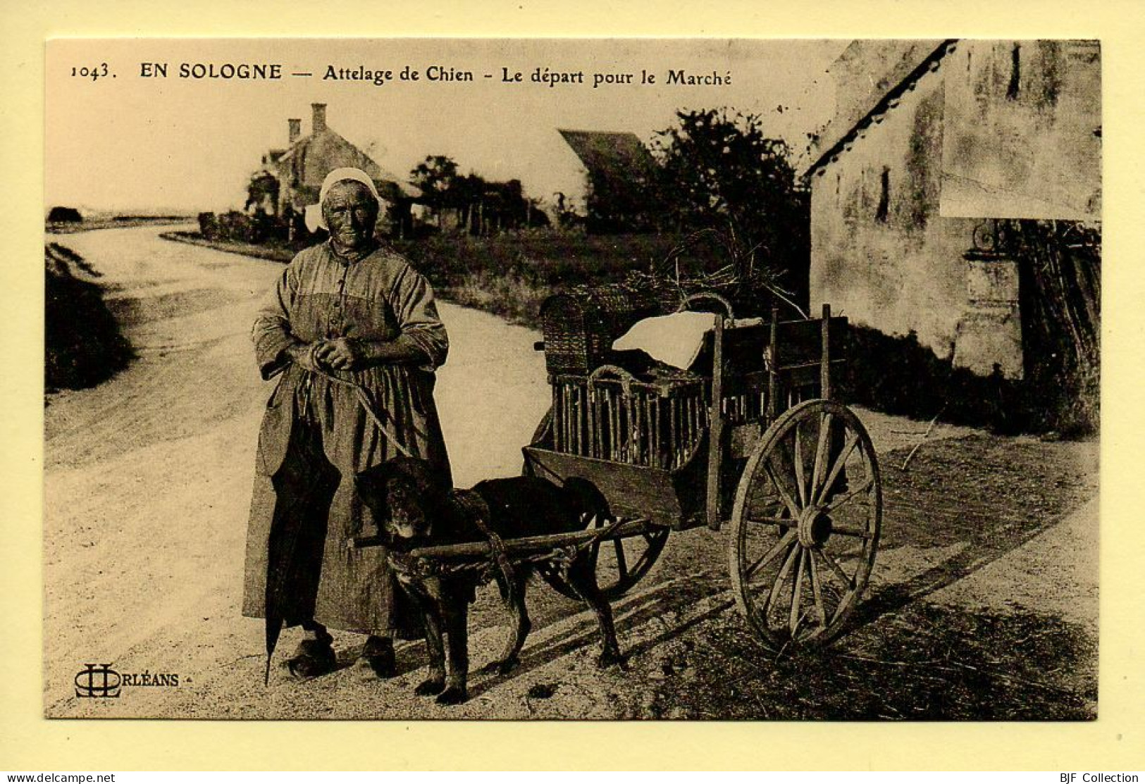 Attelage De Chiens Le Départ Pour Le Marché / Sologne / REPRODUCTION - Street Merchants