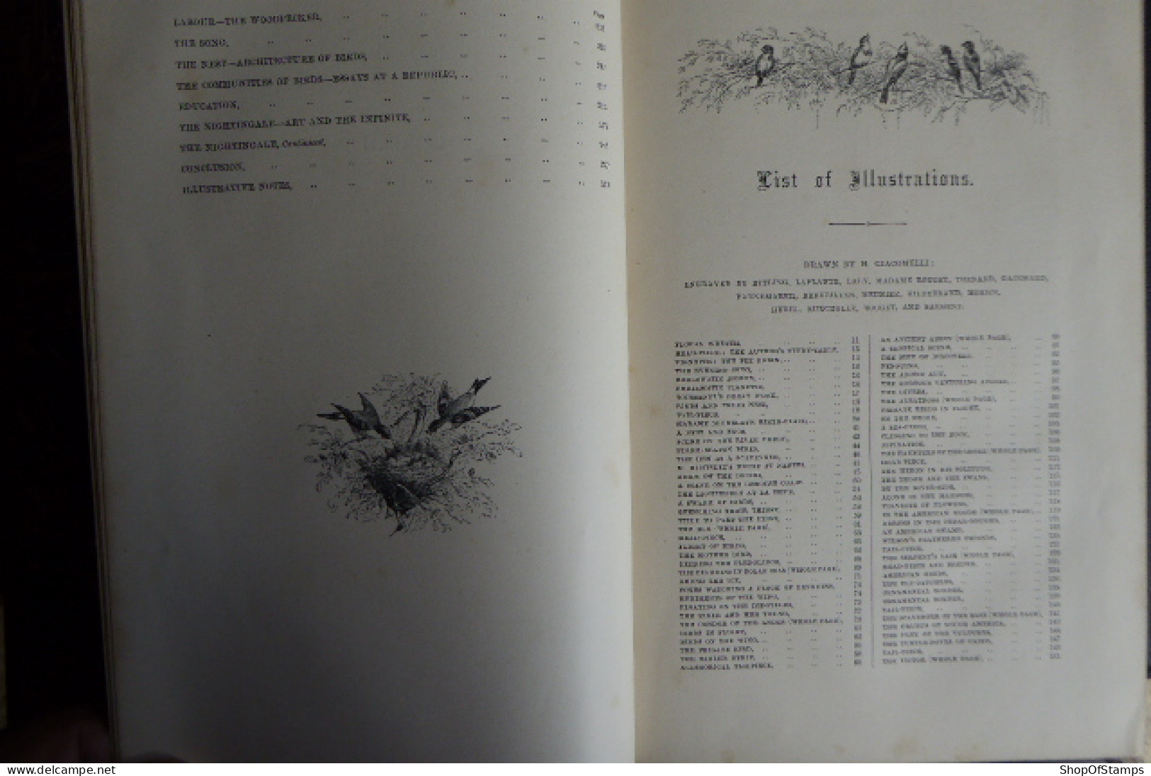 BOOK; THE BIRD By JULES MICHELET Collar BROKEN 1872 With 210 Illustrations By GIACOMELLI - Vita Selvaggia
