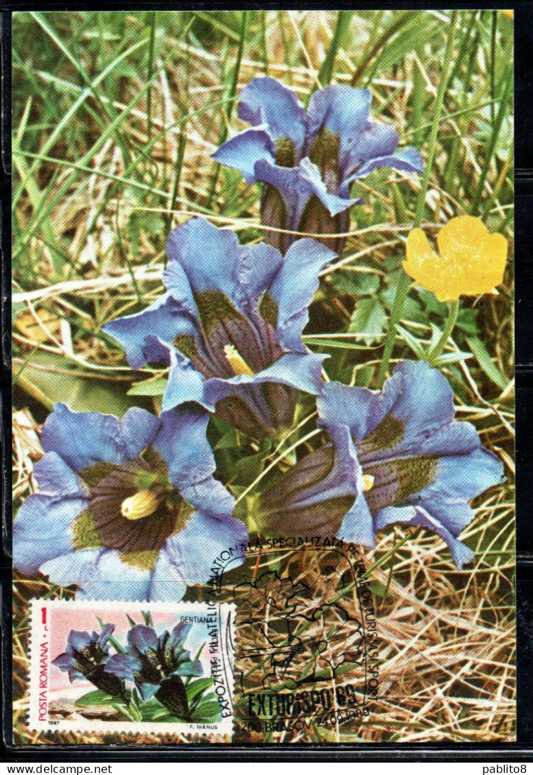 ROMANIA 1987 FLORA AND FAUNA FLOWERS GENTIANA EXCISA FLOWER 1L MAXI MAXIMUM CARD - Cartes-maximum (CM)