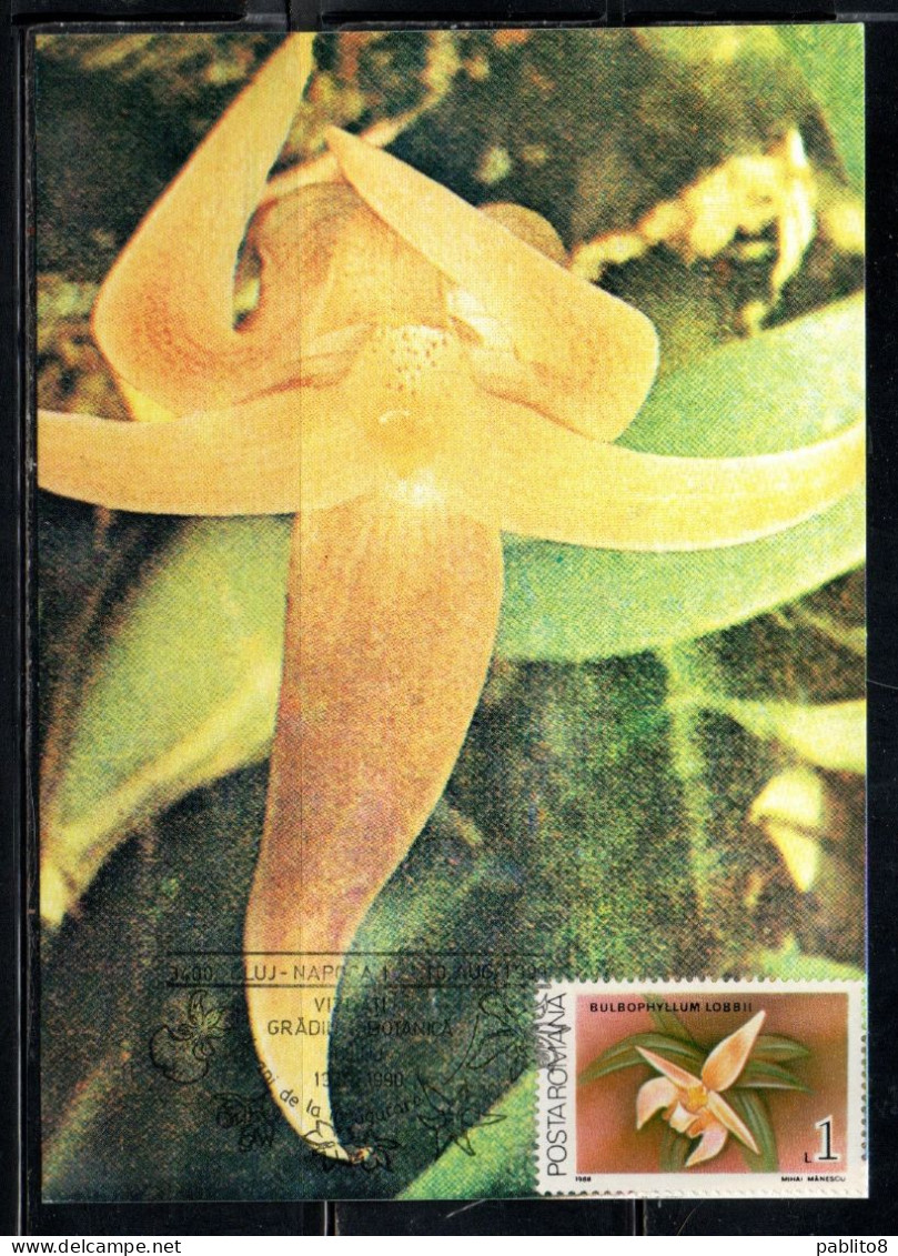 ROMANIA 1988 FLORA FLOWERS ORCHIDS BULBOPHYLLUM LOBBII FLOWER ORCHID 1L MAXI MAXIMUM CARD - Maximum Cards & Covers