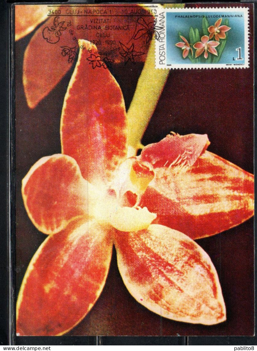 ROMANIA 1988 FLORA FLOWERS ORCHIDS PHALAENOPSIS LUEDDEMANNIANA FLOWER ORCHID 1L MAXI MAXIMUM CARD - Maximum Cards & Covers