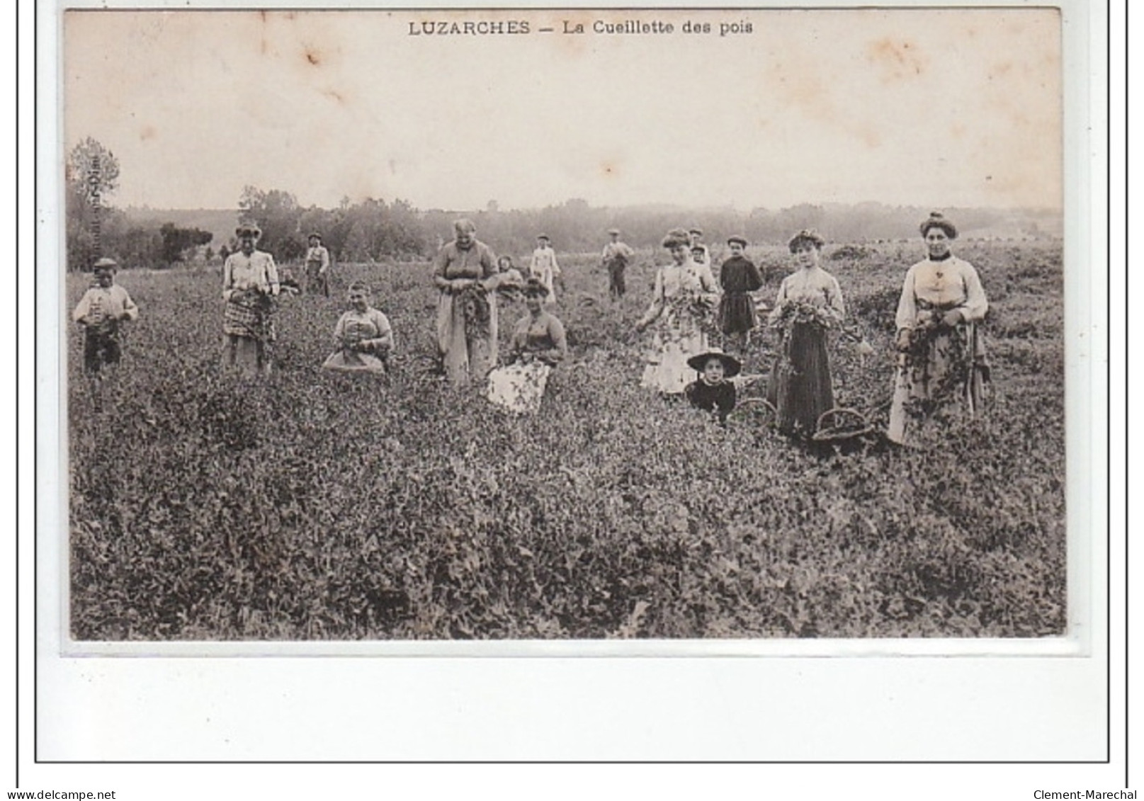 LUZARCHES - La Cueillette Des Pois - Très Bon état - Luzarches