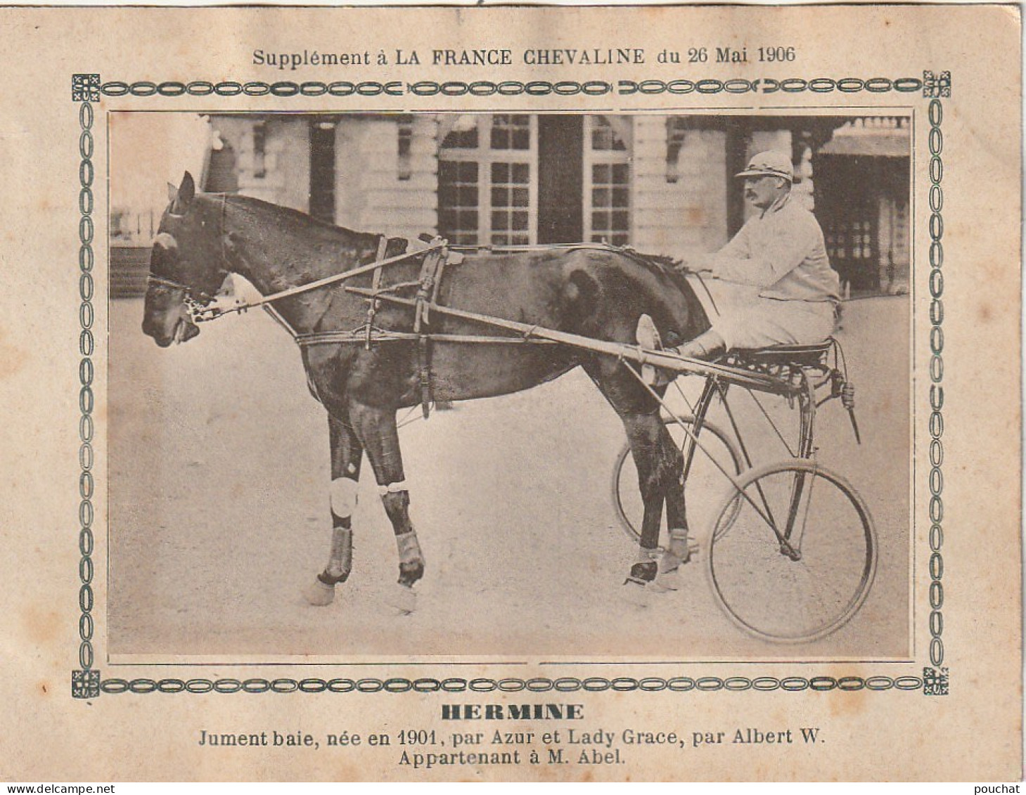 AA+ - " HERMINE " - JUMENT BAIE APPARTENANT A M. ABEL - SUPPL. " FRANCE CHEVALINE " , MAI 1906 - SULKY - Hippisme