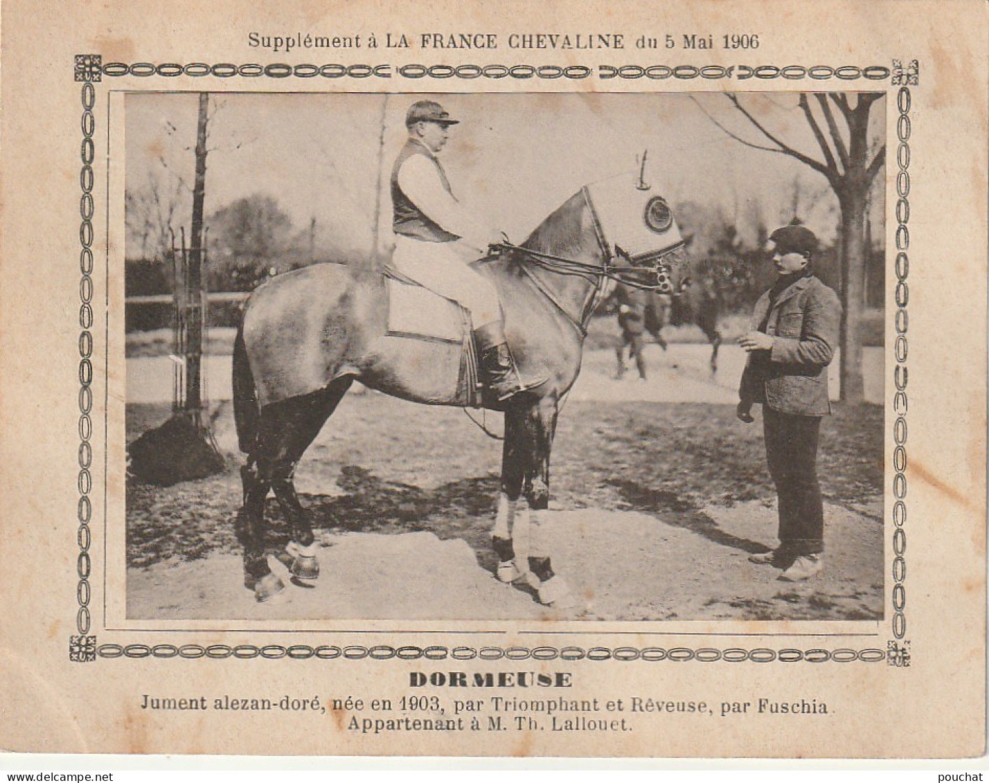 AA+ - " DORMEUSE " - JUMENT ALEZAN APPARTENANT A M. TH. LALLOUET - SUPPL. " FRANCE CHEVALINE " MAI 1906 - Hippisme