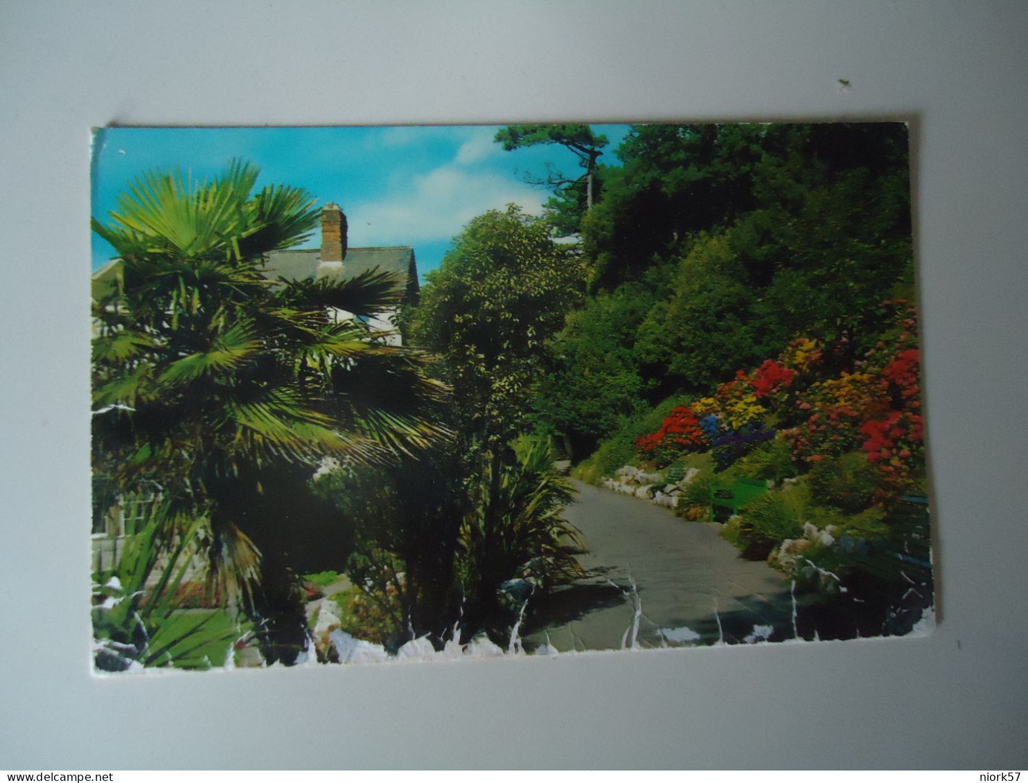 MADEIRA PORTUGAL   POSTCARDS WALK EXMOUTH     MORE  PURHASES 10% OFF - Madeira