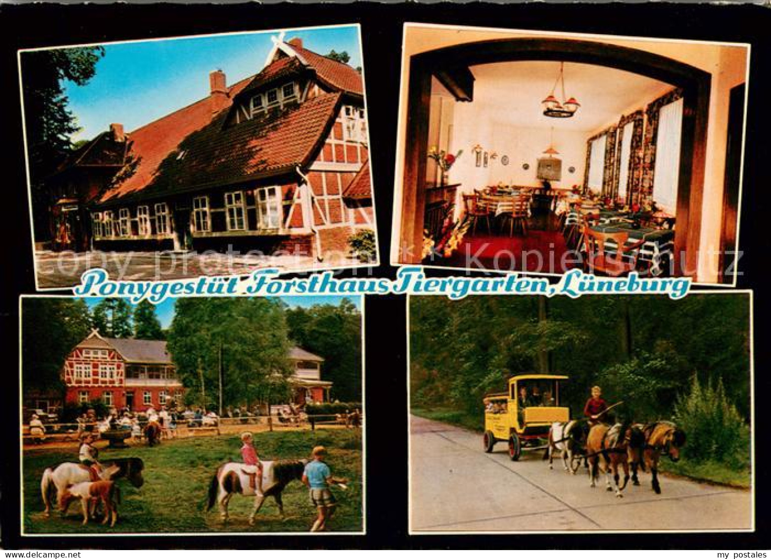 73644608 Lueneburg Forsthaus Tiergarten Kinderpension Ponyreiten Ponywagen Luene - Lüneburg