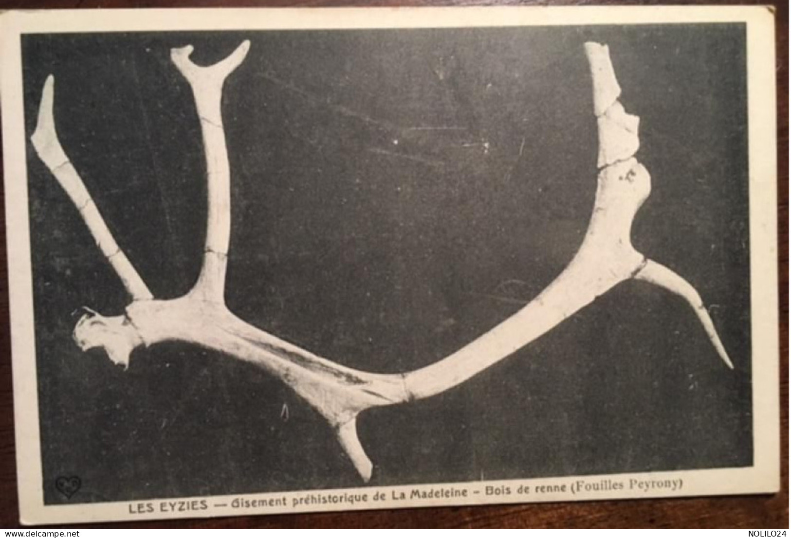 CPA 24 Dordogne, Les Eyzies, Gisement Préhistorique De La Madeleine; Bois De Renne, Fouilles Peyrony, éd VDC - Les Eyzies