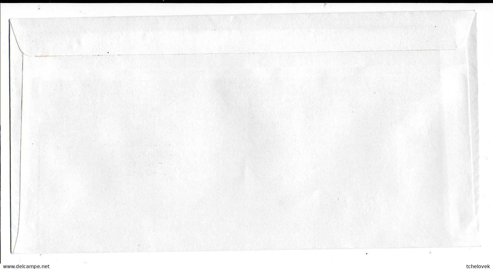 FSAT TAAF Cap Horn Sapmer 30.12.1980 SPA T. 1.40 Cormoran - Briefe U. Dokumente