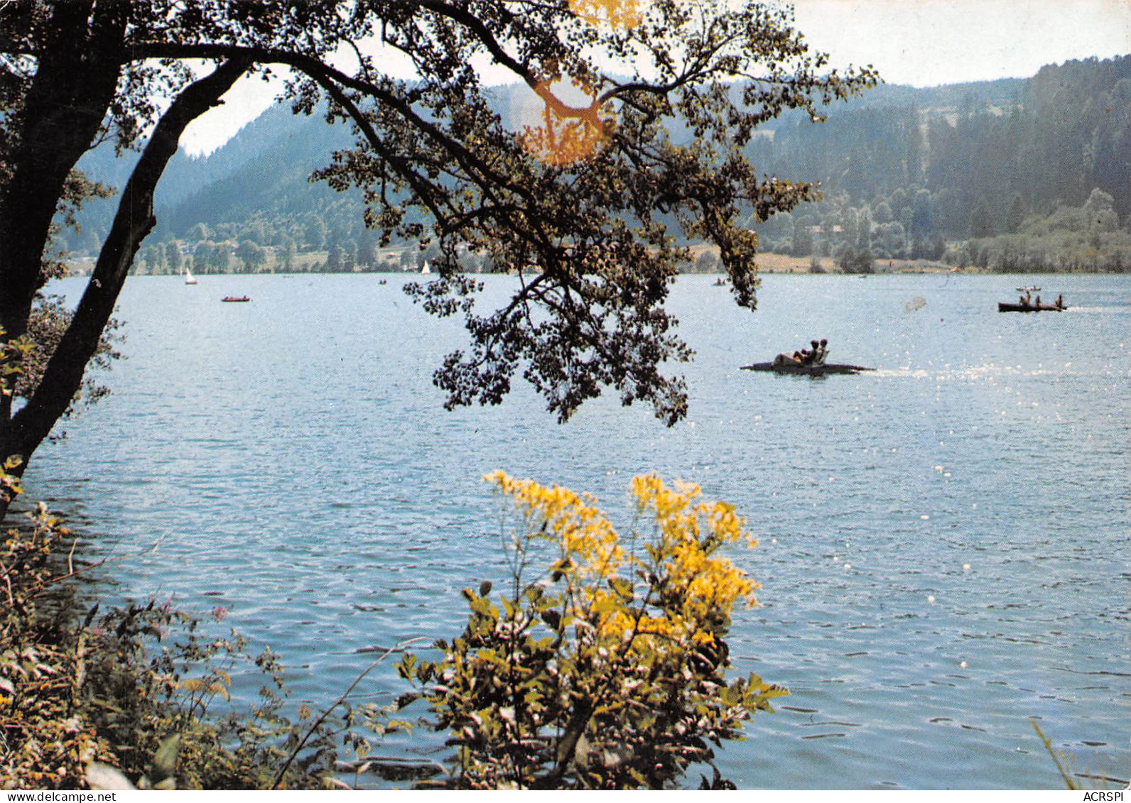 88 XONRUPT LONGEMER   Pédalos Sur Le Lac  2 (scan Recto Verso)MF2771VIC - Xonrupt Longemer