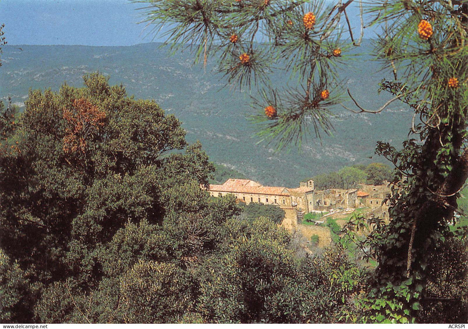 83 COLLOBRIERES Monastère De La VERNE Vue D'ensemble  41 (scan Recto Verso)MF2796TER - Collobrieres