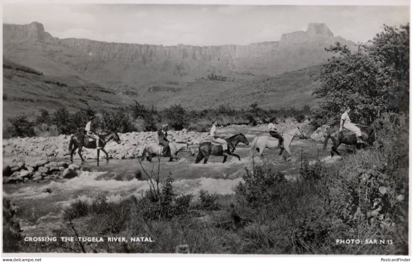 Crossing The Tugela River Western Cowboy Style Natal Africa RPC Postcard - Niger