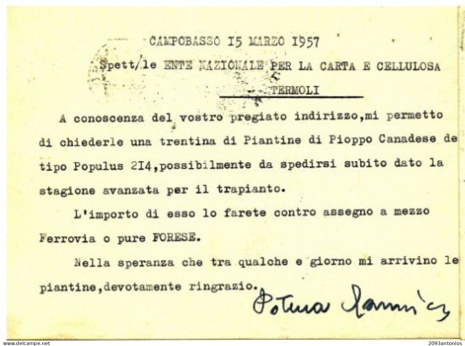 X1802) CAMPOBASSO TERMOLI  CARTOLINA POSTALE PUBBLICITARIA STORIA POSTALE  REPUBBLICA L.20  SIRACUSANA - Campobasso