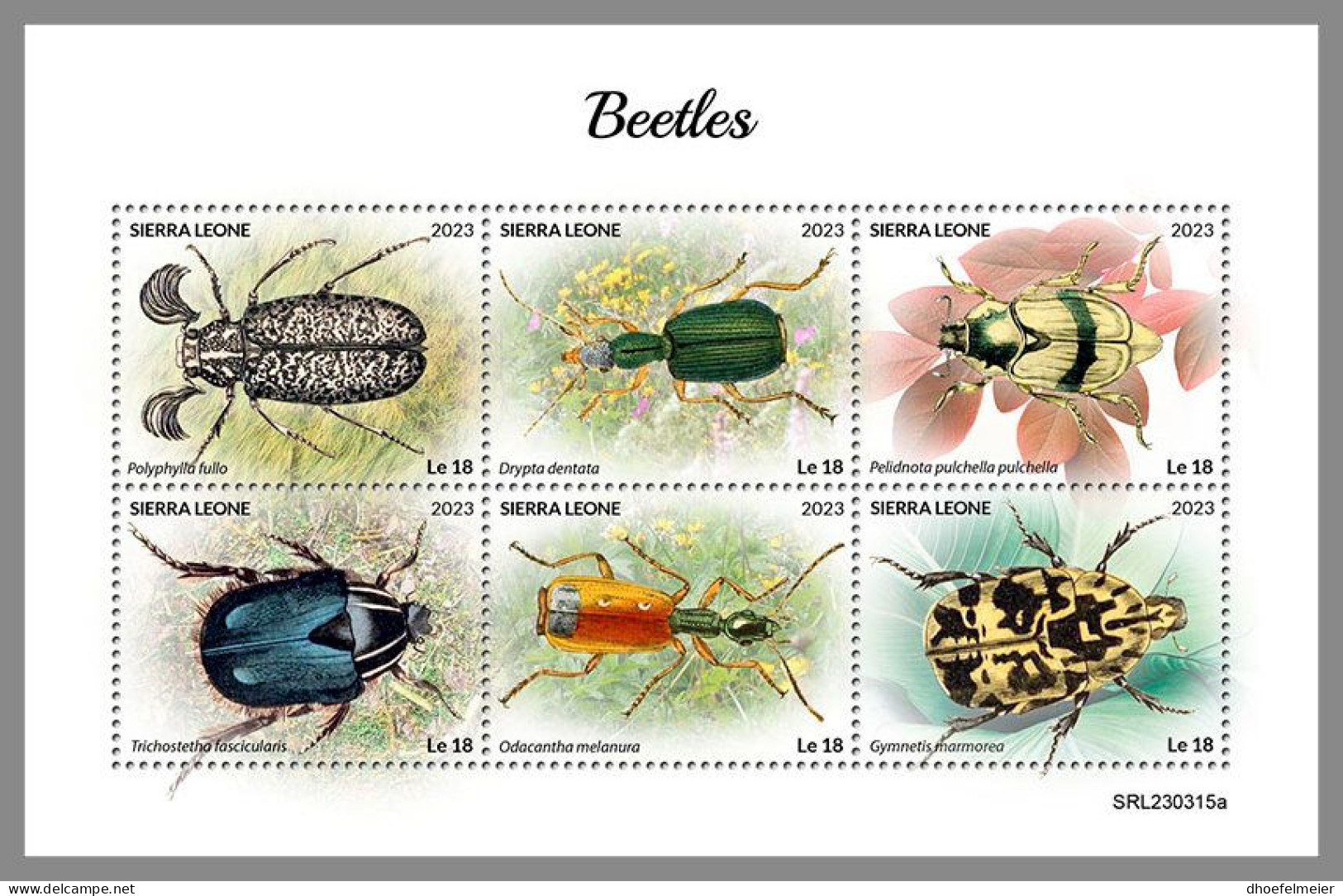 SIERRA LEONE 2023 MNH Beetles Käfer M/S – OFFICIAL ISSUE – DHQ2418 - Käfer