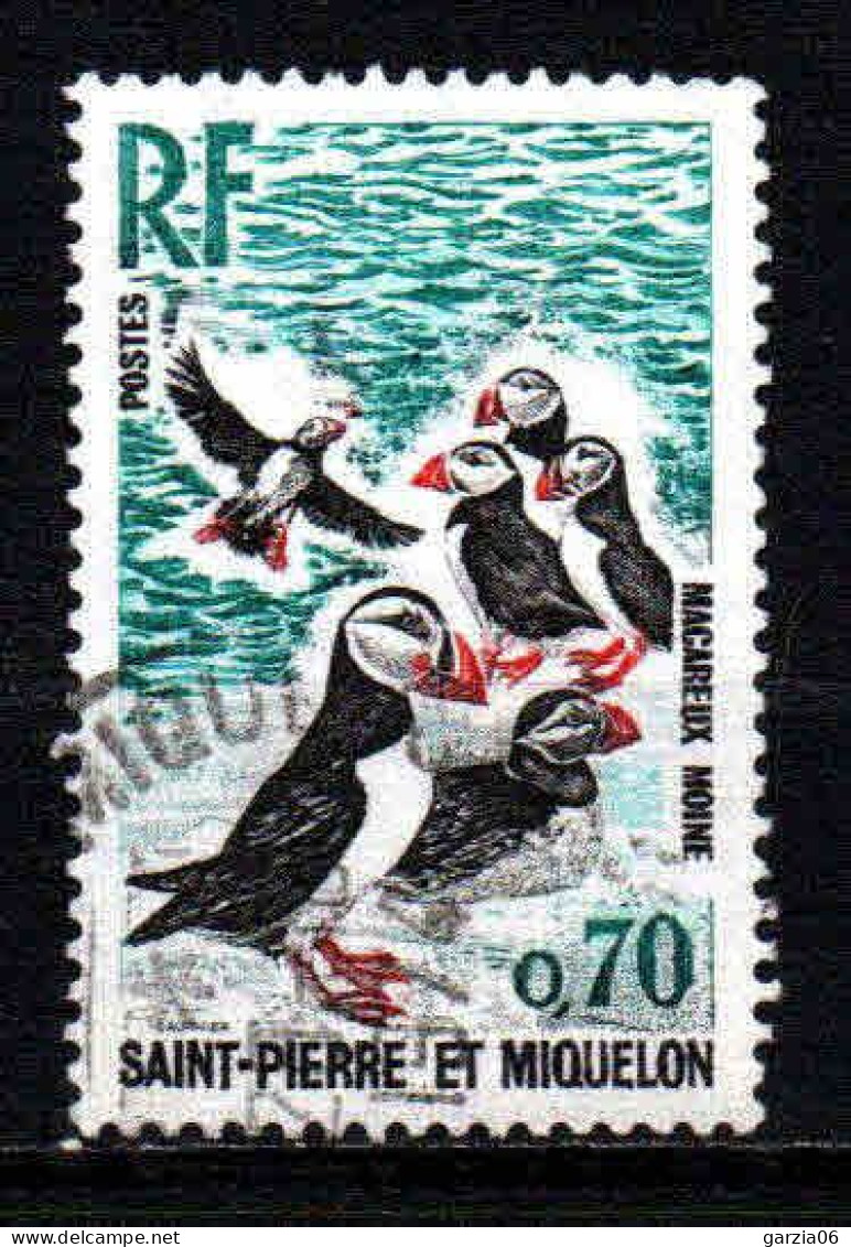 St Pierre Et Miquelon  - 1973  - Oiseaux  - N° 429 - Oblit - Used - Oblitérés