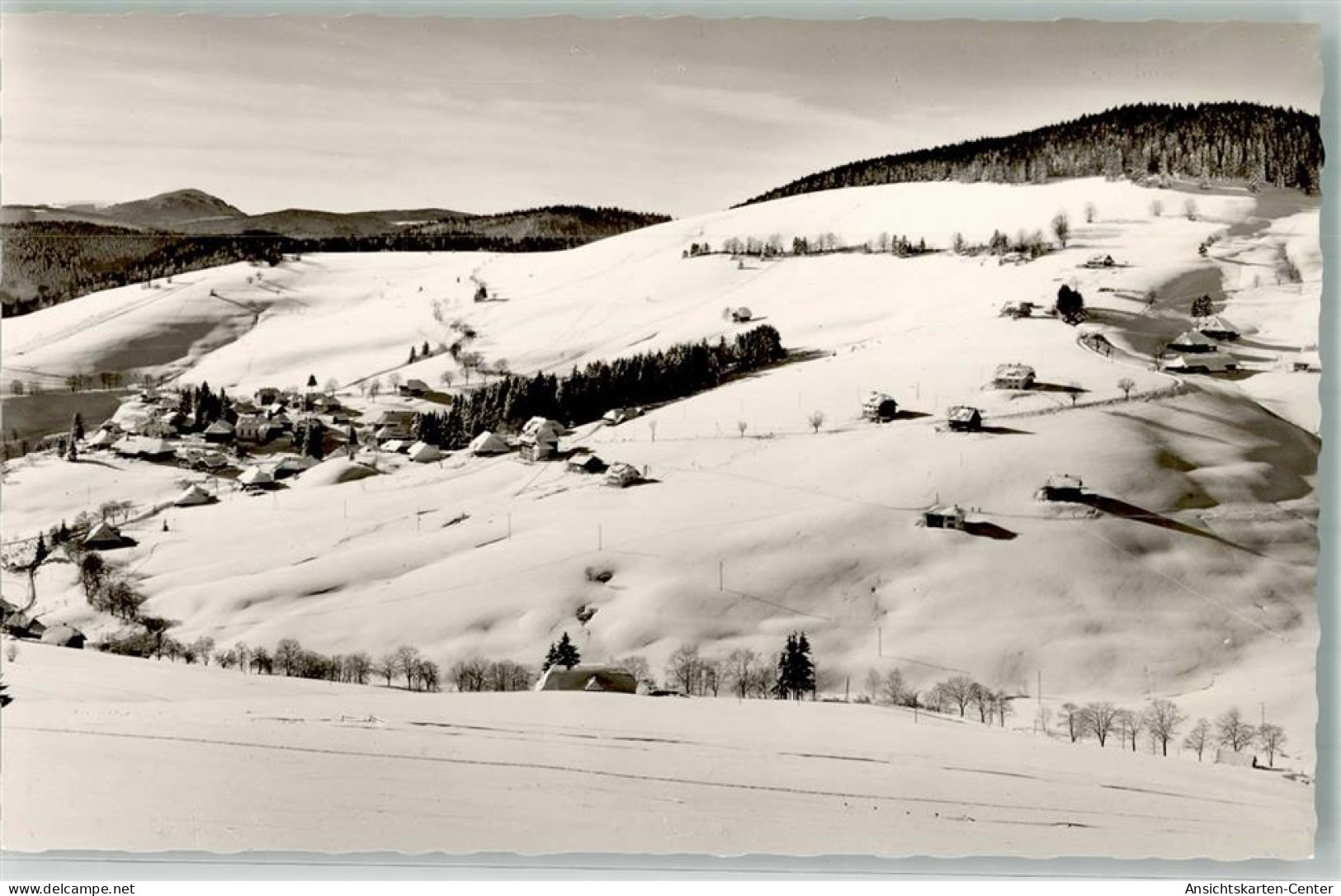 39860806 - Todtnauberg - Todtnau