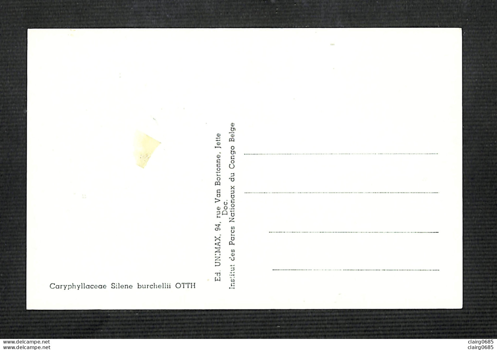 RUANDA-URUNDI - Carte MAXIMUM 1958 - Palais Du CONGO BELGE Et Du RUANDA-URUNDI - Fleurs - SILENE - Sonstige & Ohne Zuordnung