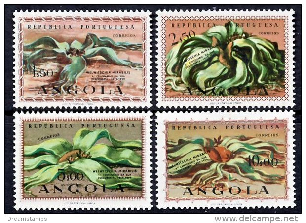 !										■■■■■ds■■ Angola 1959 AF#406-409* Welwitschia Mirábilis Set Medicinal Plants Medicine Health (x4875) - Angola