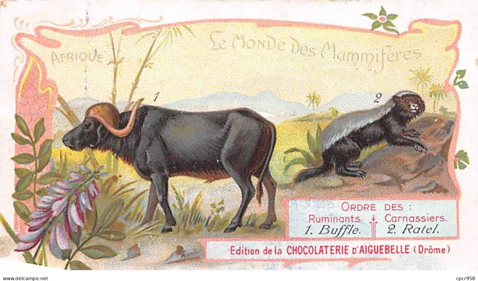 CHROMOS.AM23083.7x10 Cm Env.Chocolat D'Aiguebelle.Le Monde Des Mammifères.Ruminant-Buffle.Carnassiers-Ratel - Aiguebelle