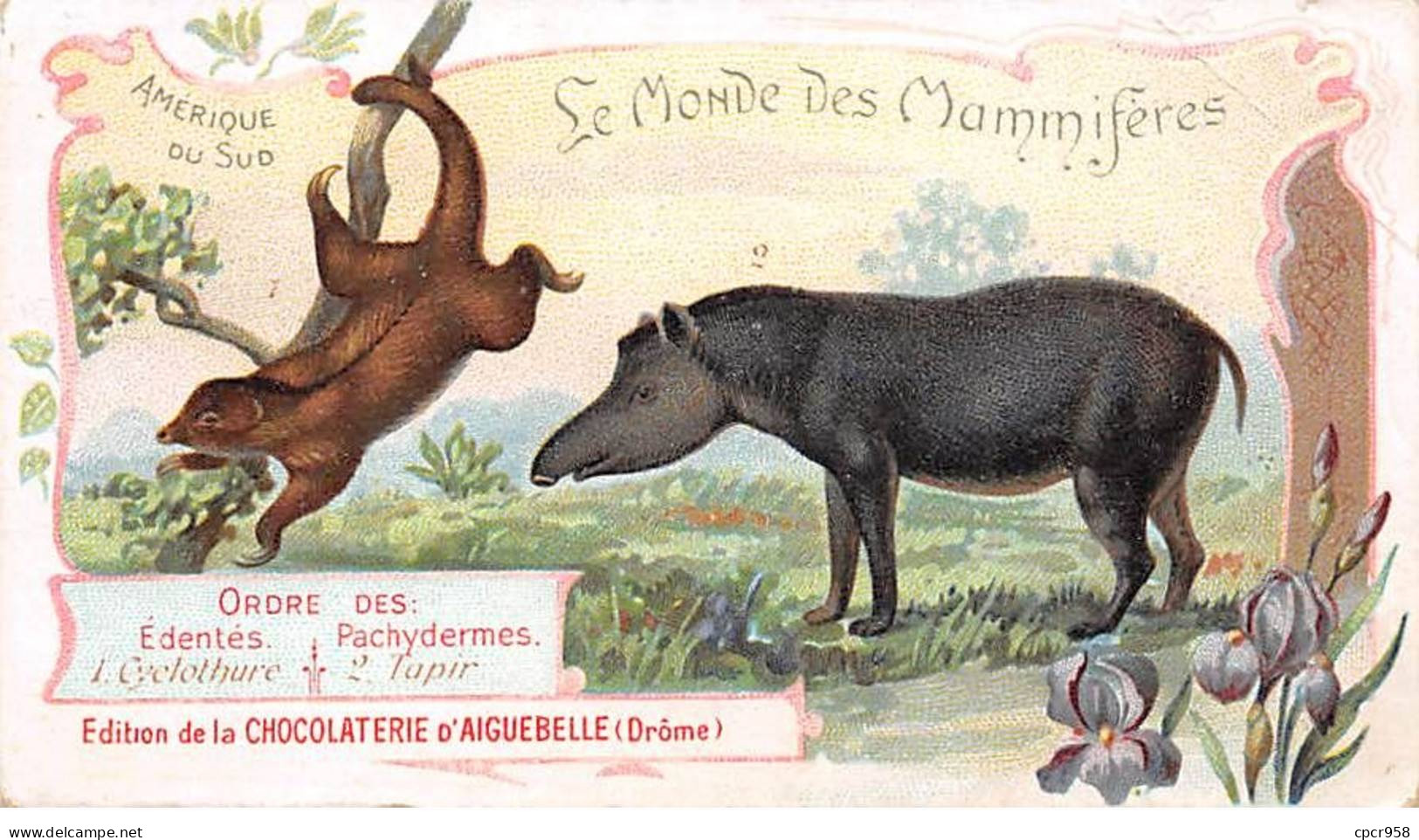 CHROMOS.AM23066.7x10 Cm Env.Chocolat D'Aiguebelle.Le Monde Des Mammifères.Edentés-Cyclothure.Pachydermes-Tapir - Aiguebelle