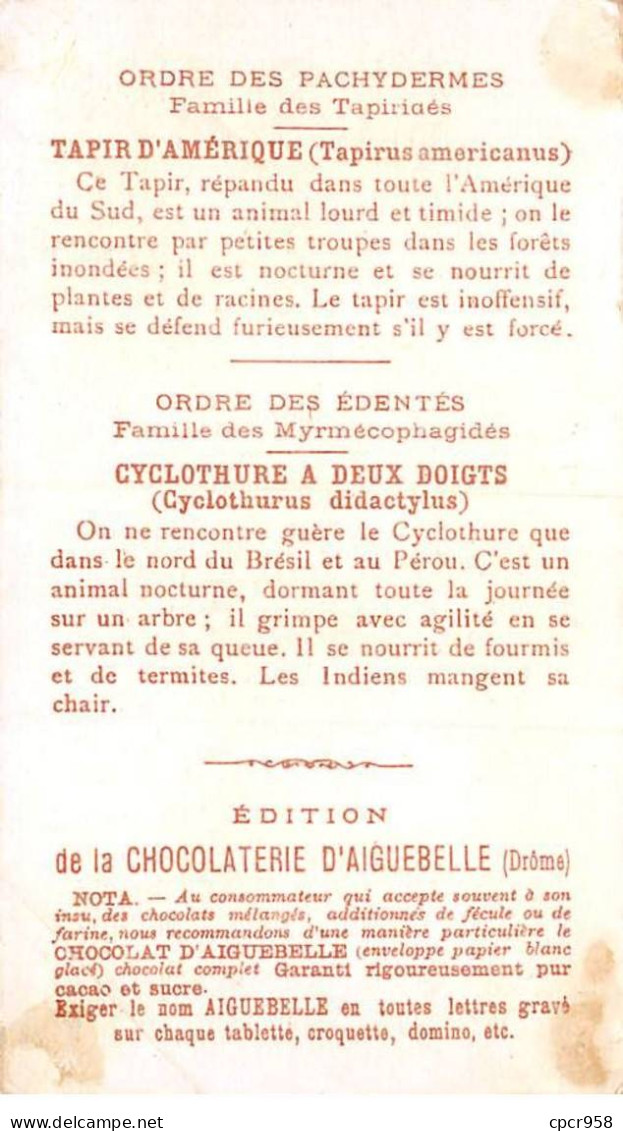 CHROMOS.AM23066.7x10 Cm Env.Chocolat D'Aiguebelle.Le Monde Des Mammifères.Edentés-Cyclothure.Pachydermes-Tapir - Aiguebelle