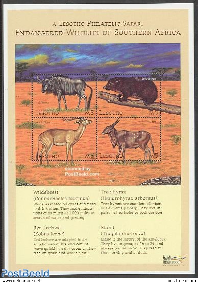 Lesotho 2000 Stamp Show, Animals 4v M/s, Mint NH, Nature - Animals (others & Mixed) - Lesotho (1966-...)