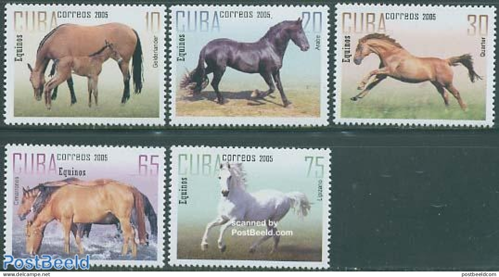 Cuba 2005 Horses 5v, Mint NH, Nature - Horses - Nuovi