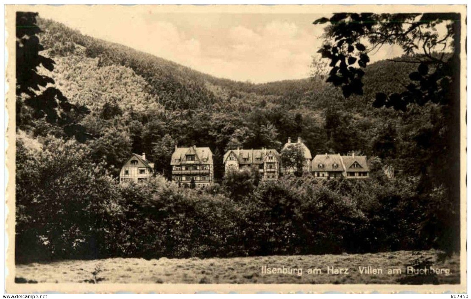 Ilsenburg - Villen Am Buchberg - Ilsenburg