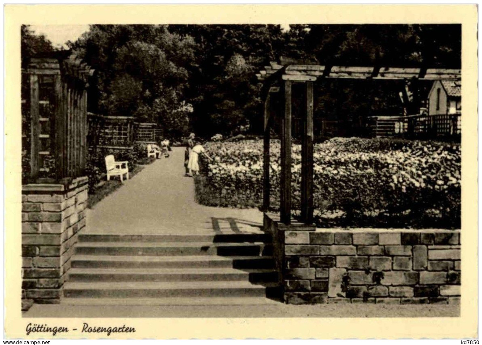 Göttingen - Rosengarten - Göttingen