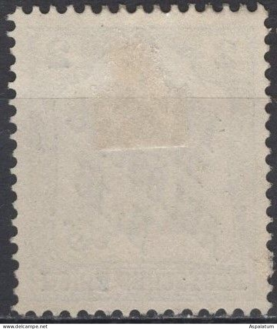 Germany, Empire - Government Service Stamp - 2 Pf - Mi 9 - 1905 - Service