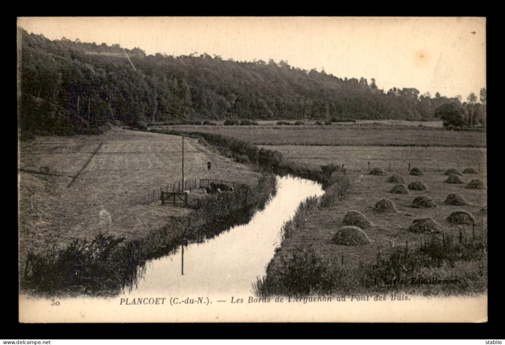 22 - PLANCOET - LES BORDS DE L'ARGUENON AU PONT DES BUIS - Plancoët