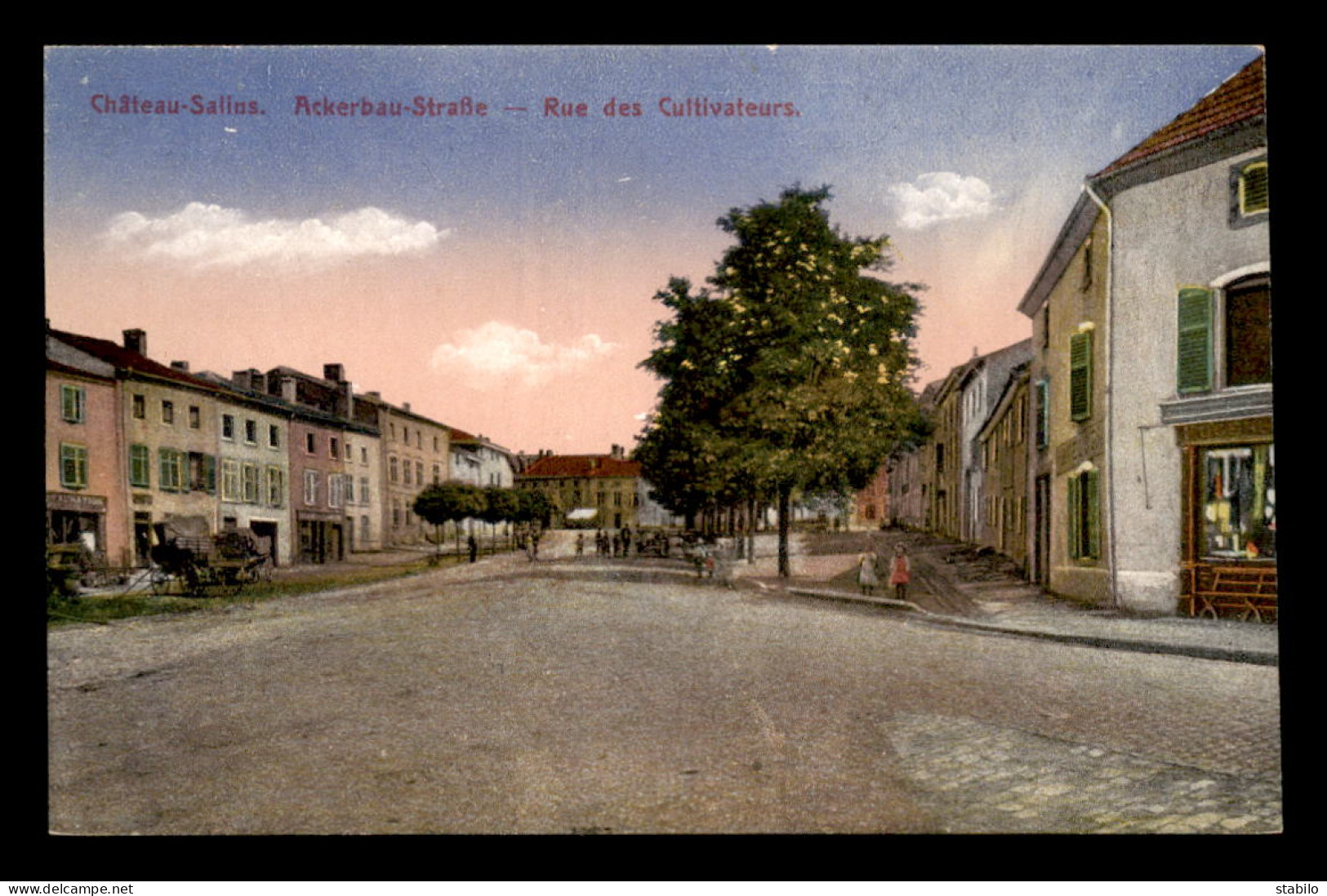 57 - CHATEAU-SALINS - RUE DES CULTIVATEURS - Chateau Salins