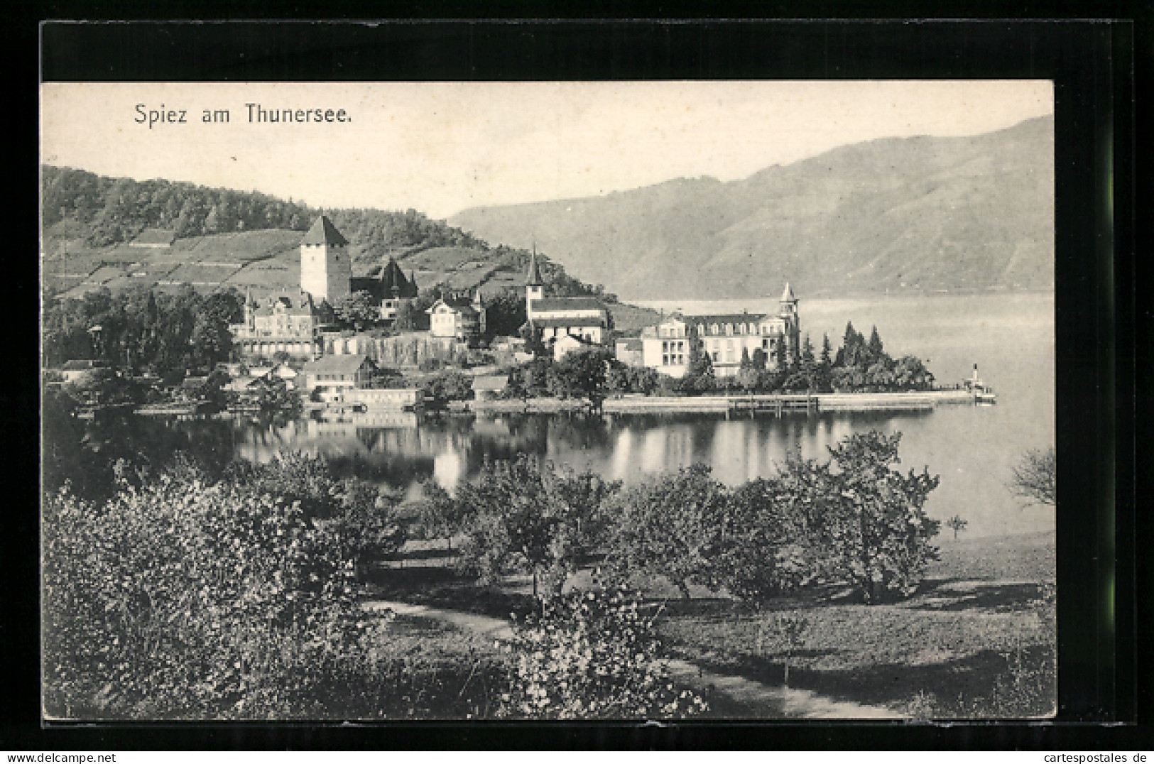 AK Spiez Am Thunersee, Panorama  - Spiez